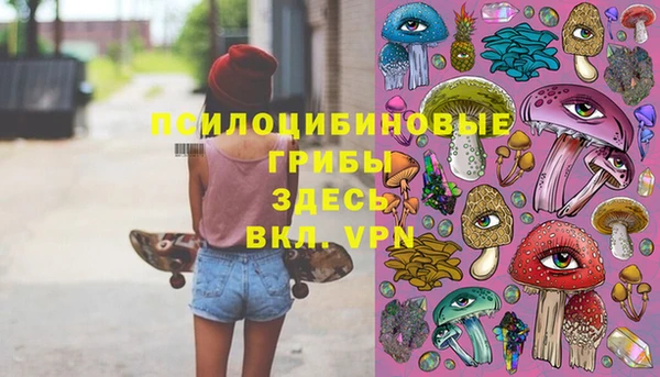 сатива Заволжье