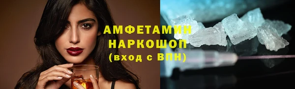сатива Заволжье