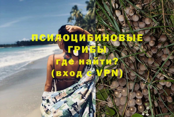 сатива Заволжье