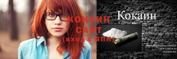 сатива Заволжье