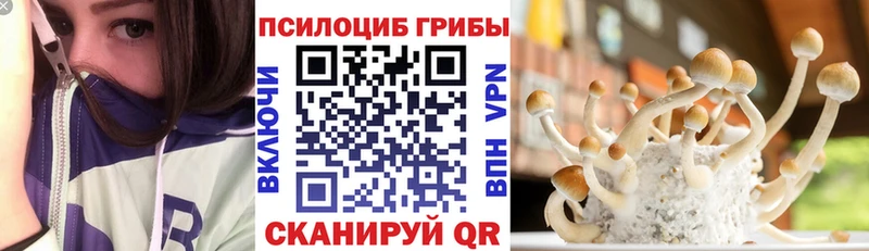 Псилоцибиновые грибы Magic Shrooms  Славск 